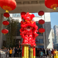 户口在杨浦区,人不在杨浦区读幼儿园是否影响中小学离石图片