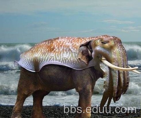 超级搞笑的宇宙奇闻奇图