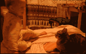 111.gif