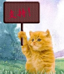 从华杯赛的获奖情况就可以看出南外、树人的优