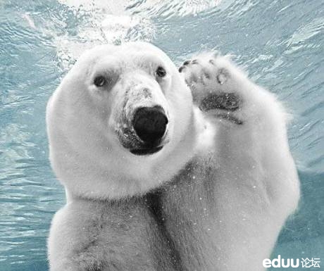 你好2014,新年上班第一天,一起说说新年祝福吧