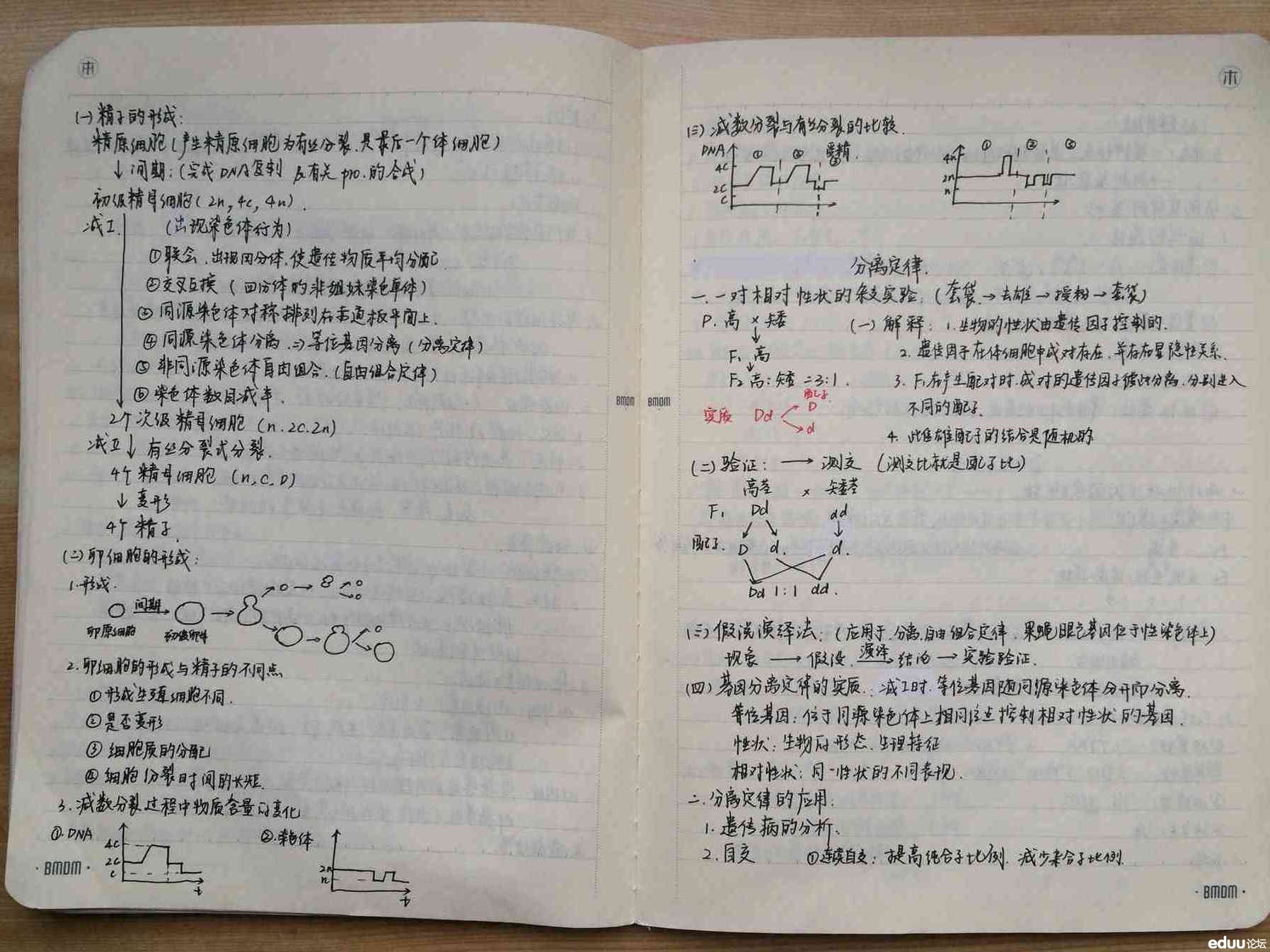 物理高中高中有哪几本_课本课本高中有几本几月城分上能物理中考图片