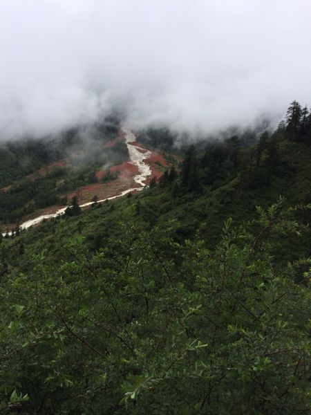 【家长帮群聊】小西建家长帮重庆中考群了,欢