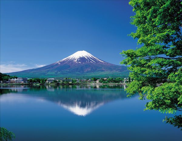 ouch」 MindWalk主题游学 日本站_家长帮活动