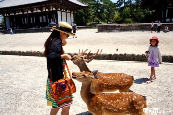 ouch」 MindWalk主题游学 日本站_家长帮活动