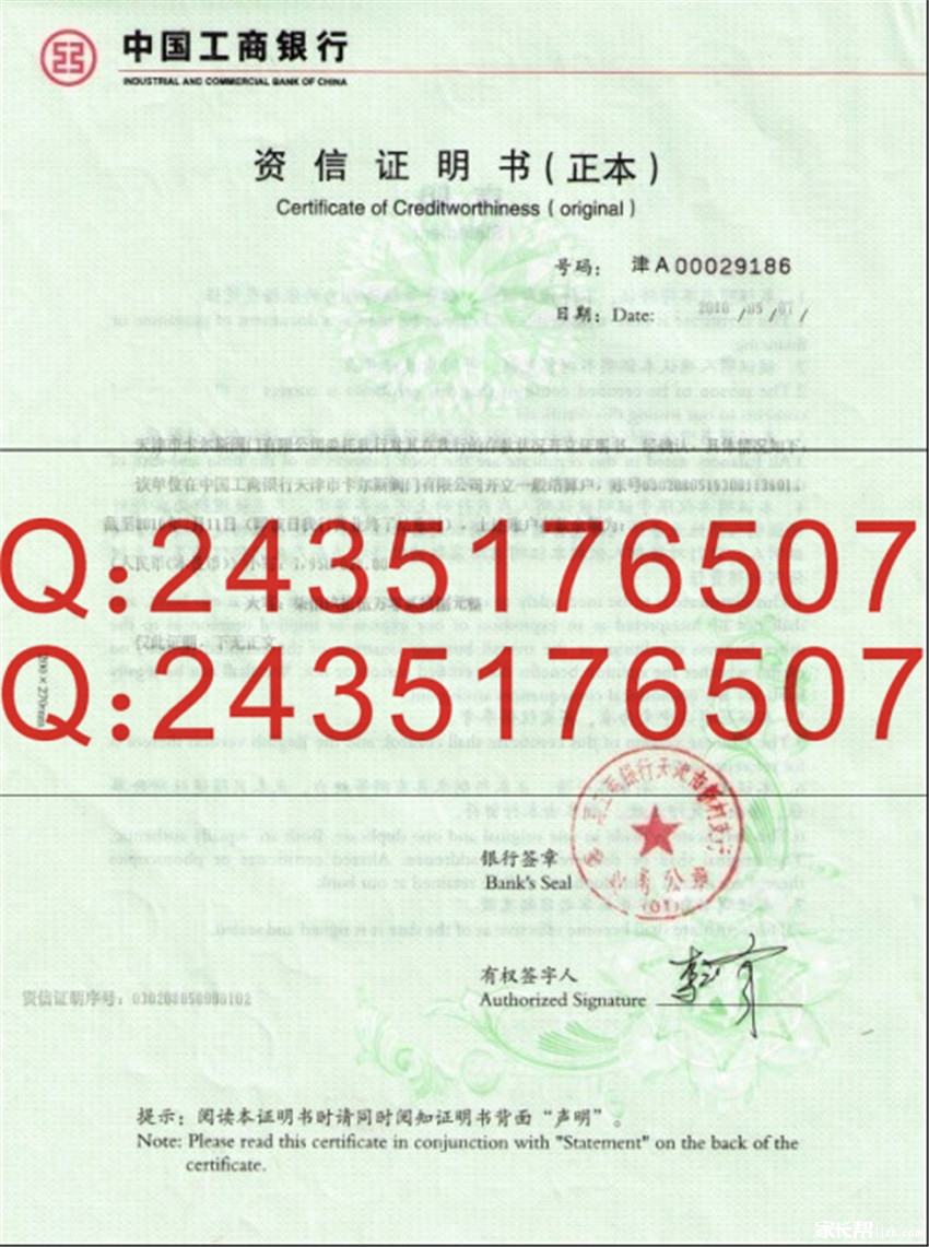 资信证明_个人收入资信证明(2)