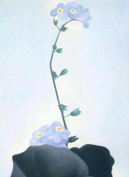 【家长帮签到5】三色堇_姑苏活动-苏州家长帮