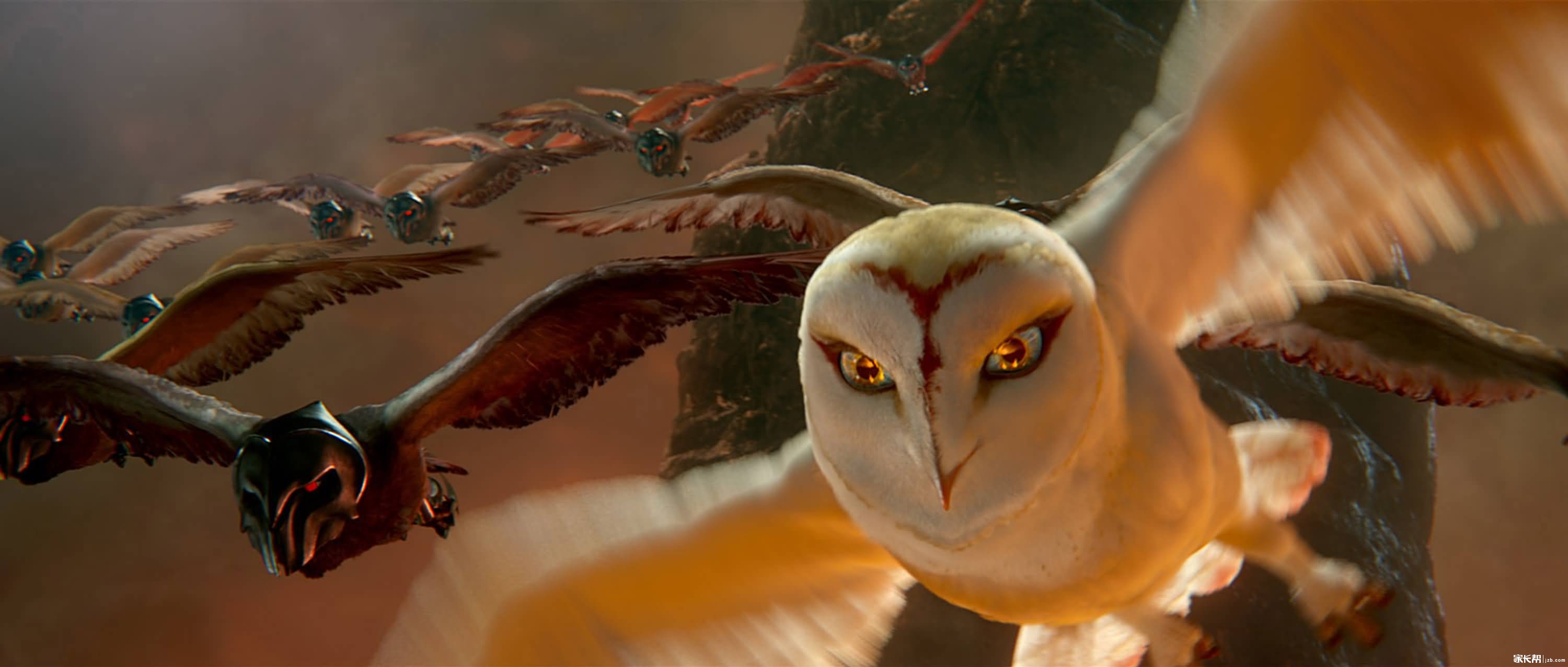 《猫头鹰王国·守卫者传奇》，小朋友们都学会了什么?_庄里那点事儿-石家庄家长帮社区