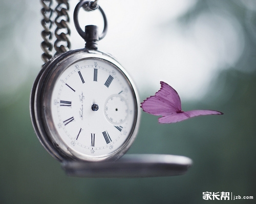 【中考能量站6.12】全国各地中考作息时间汇总