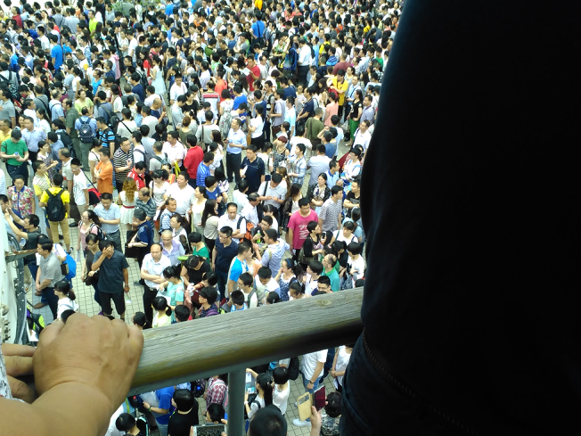 财大自主招生现场_2015上海幼升小-上海家长