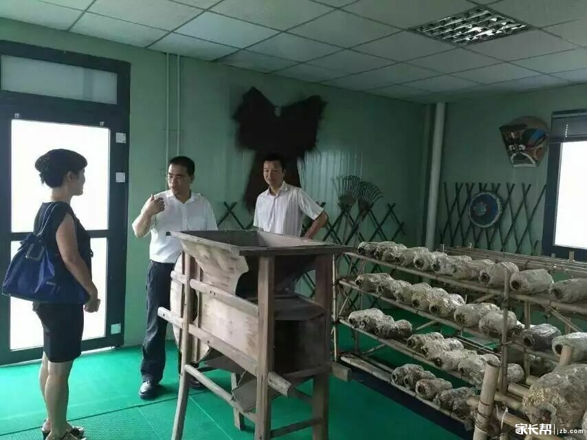 同辉国际小学,孩子去看了喜欢的不得了(大量图