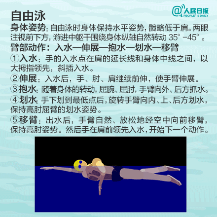 蛙泳、仰泳、自由泳、蝶泳,视频加文字详细教