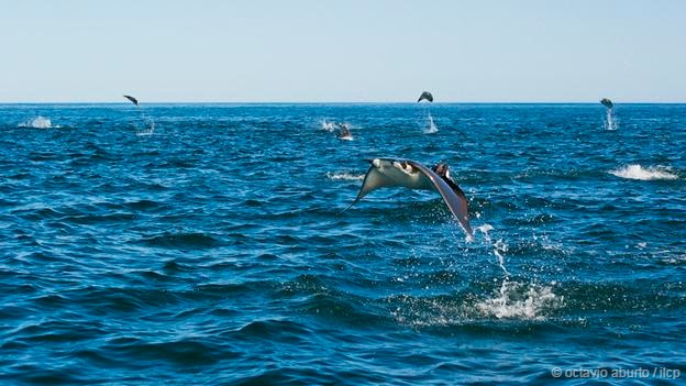 厦门大学的有没有!_大学-北京家长帮社区