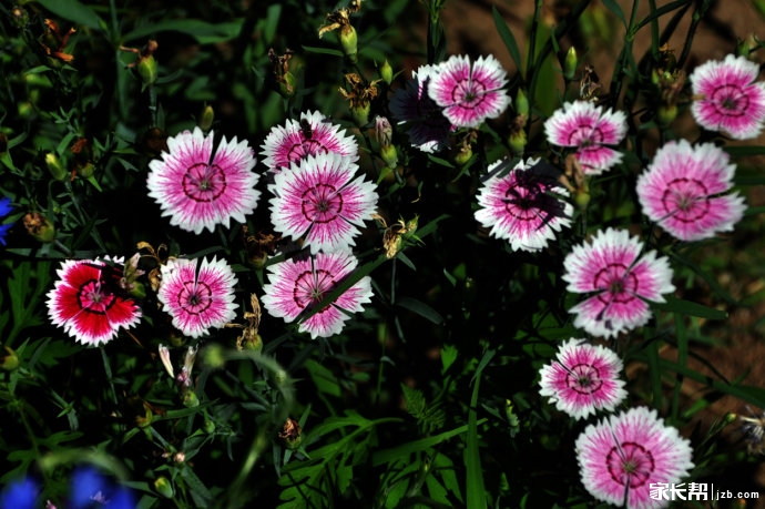 有福州大学的吗?_大学-北京家长帮社区