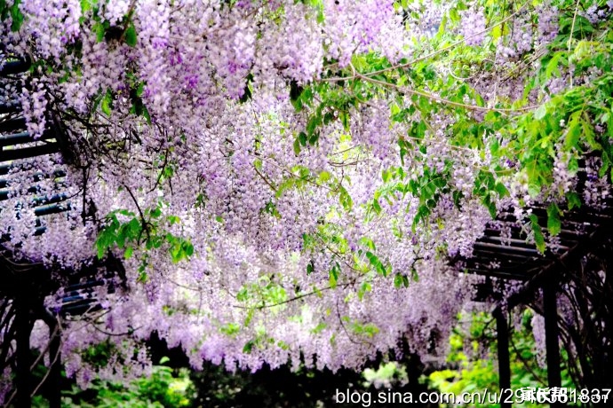 有福州大学的吗?_大学-北京家长帮社区