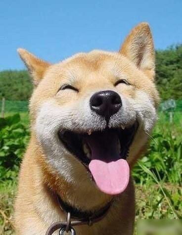 家长帮非常七夕,互动留言赢小编亲手编织同心