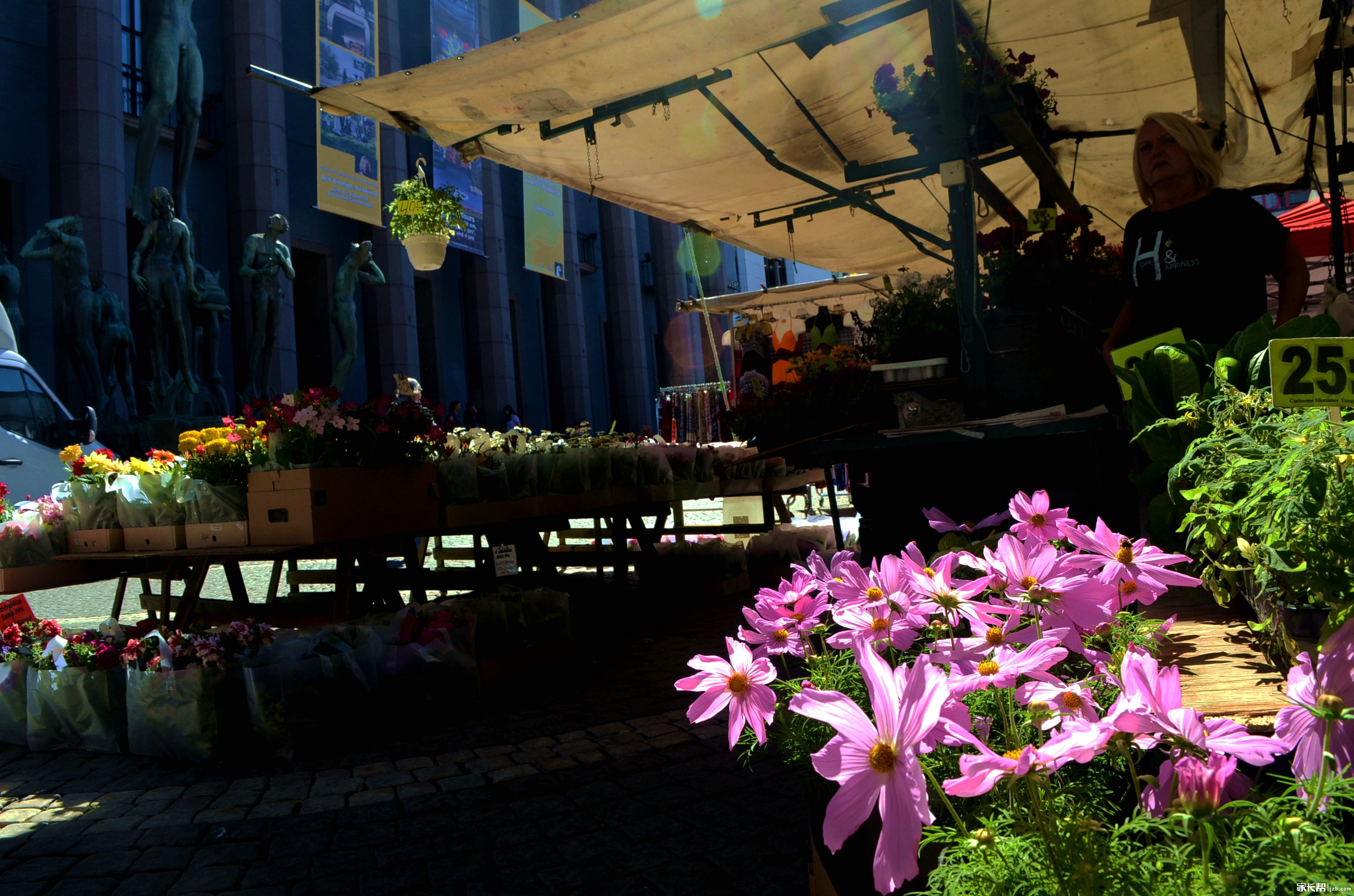 家长帮非常七夕,互动留言赢小编亲手编织同心