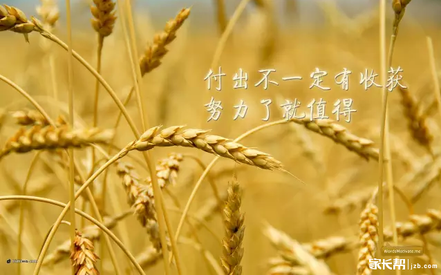 十月,你好_2016合肥中考-合肥家长帮社区