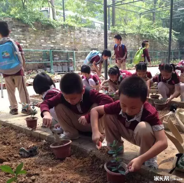 香洲一小一年级秋季实践活动,手拉手 去郊游,孩