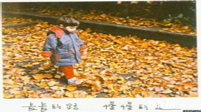 2012-2016年高考历史(全国卷)考点分布表及20