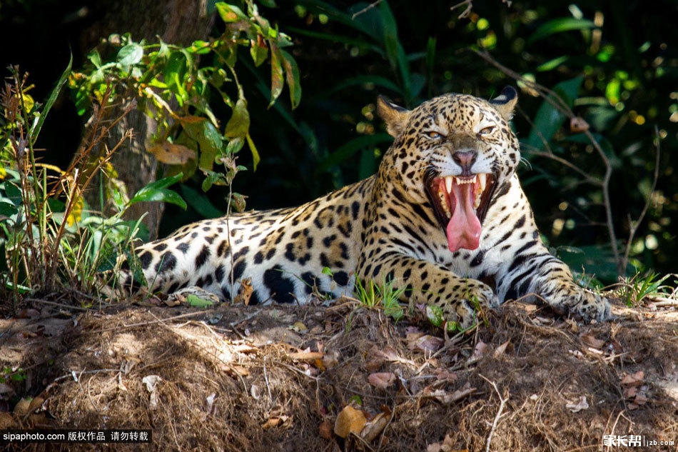 去山东读大学!_2016北京高考-北京家长帮社区