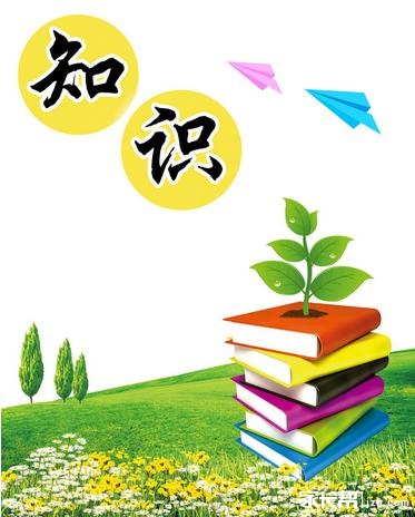 经验 交流 小数 的 乘除 法 小学 三 年级 乘除