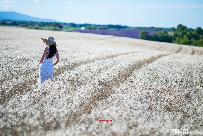 去江苏,读大学!_大学-北京家长帮社区
