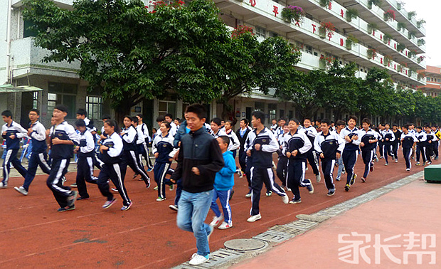 我眼中不一样的学校