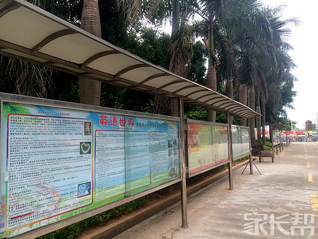 我眼中不一样的学校【培英文武实验学校】_深