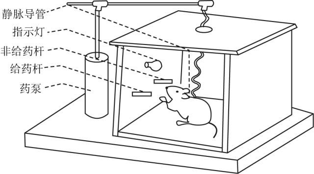 学而思高考研究中心权威解读2016《考试说明