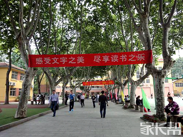 我眼中不一样的学校