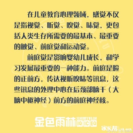 【科普】感统重要分类之---前庭觉