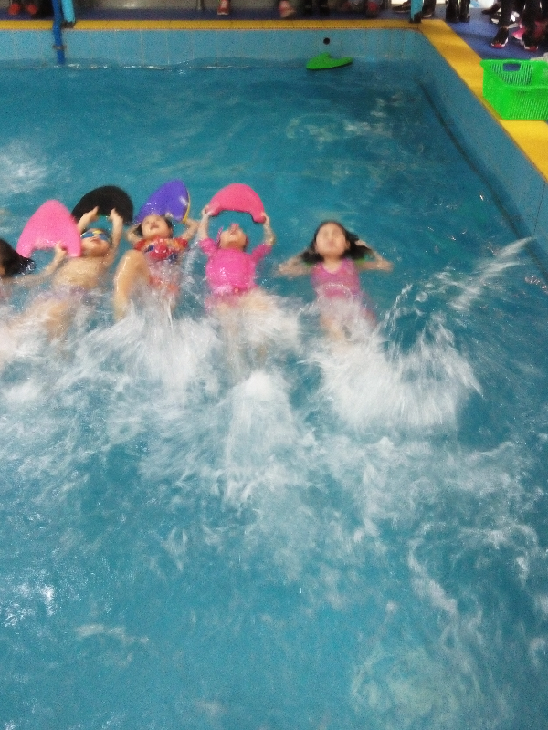 分享你的幼儿园信息,轻松拿走幼升小手册 - 第