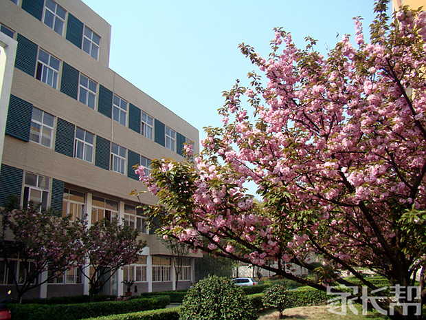 铜陵十二中|【铜冠花园】立位铜陵