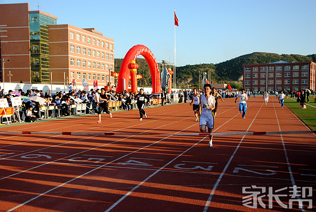 我眼中不一样的学校