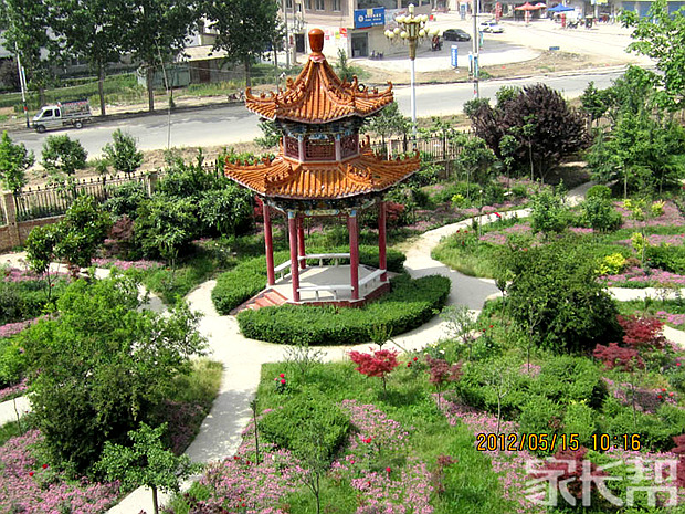 我眼中不一样的学校