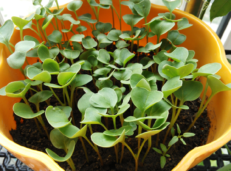 我在这里等着你回来_大学-北京家长帮社区