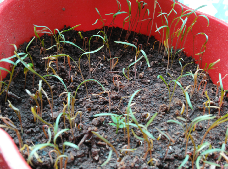 我在这里等着你回来_大学-北京家长帮社区