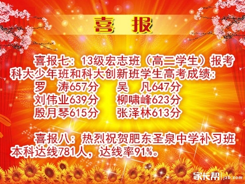 2015年肥东圣泉中学高考成绩_2016合肥中考