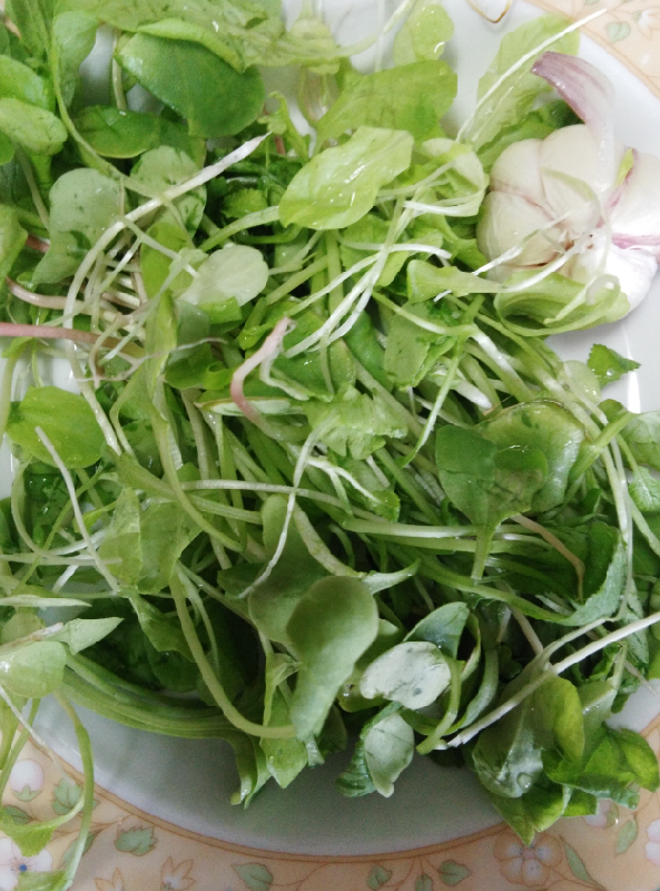 我在这里等着你回来_大学-北京家长帮社区