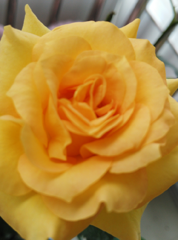 我在这里等着你回来_大学-北京家长帮社区