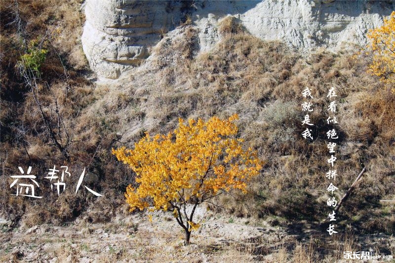 #中考倒计时3天#还有3天,中考考前注意事项和