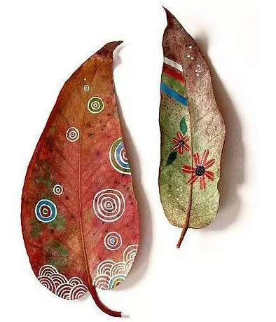 收集叶子和孩子一起来做叶子画吧!_2016洛阳幼升小-洛阳家长帮社区