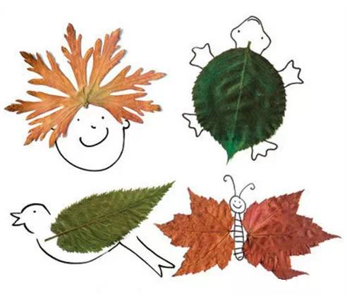 收集叶子和孩子一起来做叶子画吧!_2016洛阳幼升小-洛阳家长帮社区