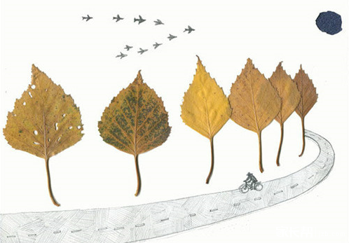 收集叶子和孩子一起来做叶子画吧!