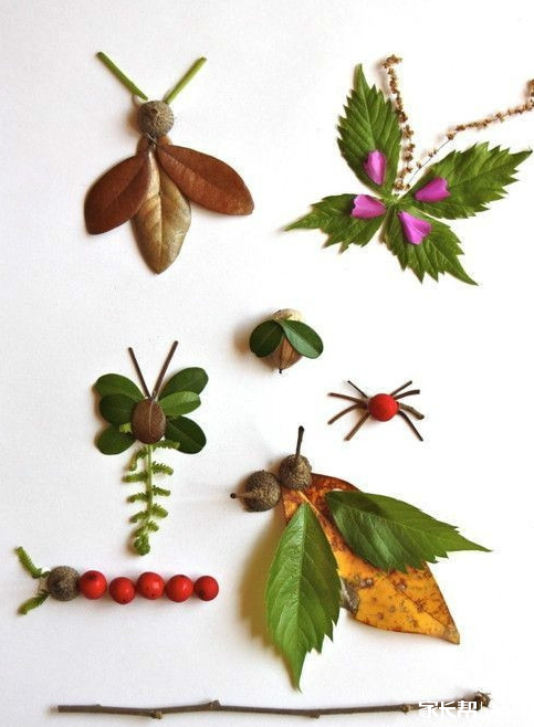 收集叶子和孩子一起来做叶子画吧!