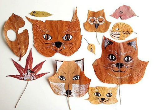 收集叶子和孩子一起来做叶子画吧!_2016洛阳幼升小-洛阳家长帮社区