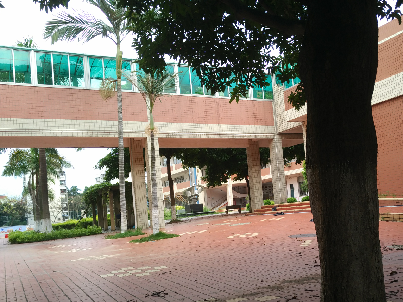 #你晒学校,我送书#厦门家长帮幼升小系列活动