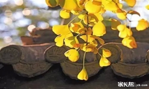 【高中语法系列】名词性从句,英语中无处不在