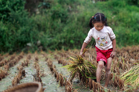 2017年暑期农村生活体验营火热报名中!_2017